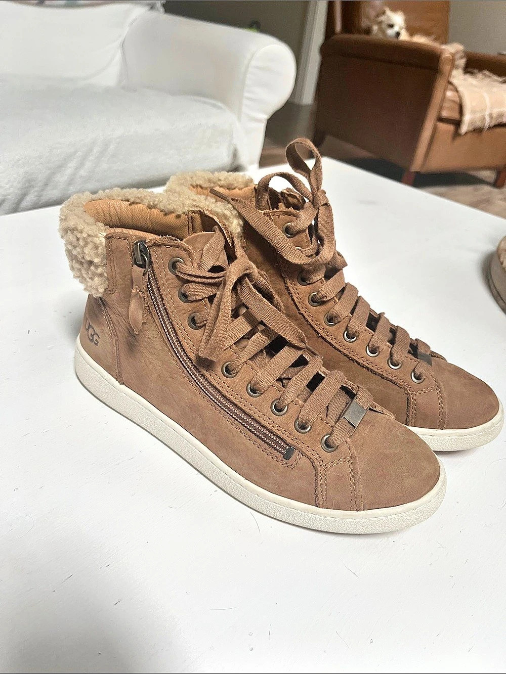UGG Olive High-Top Sneaker Sneakers Brown & Cream